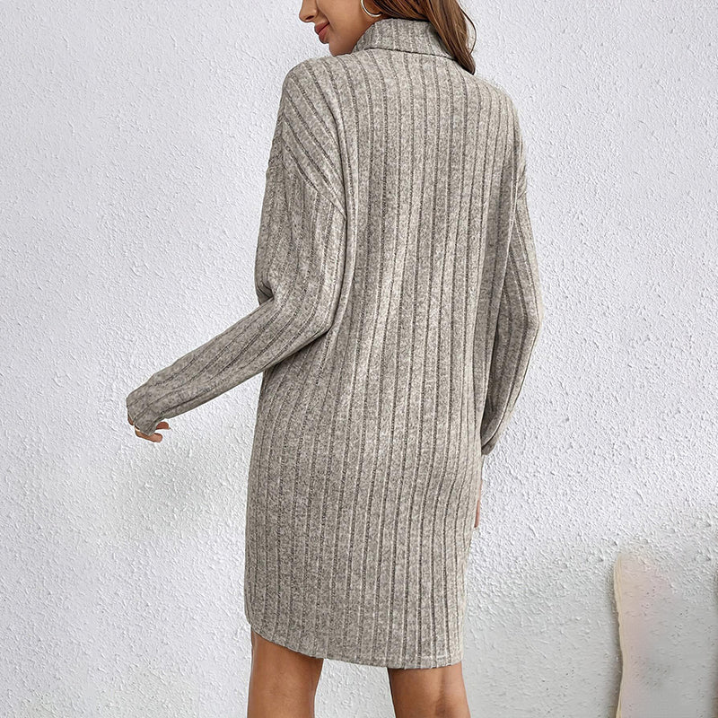 Turtleneck Mini Dress