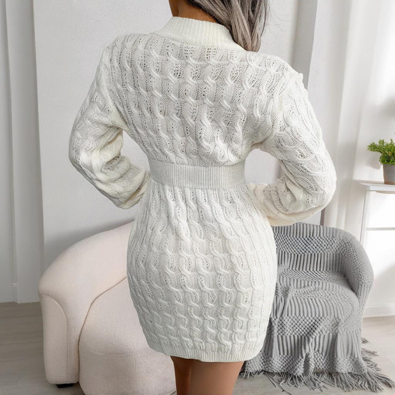 Bodycon Pullover Mini Sweater Dress